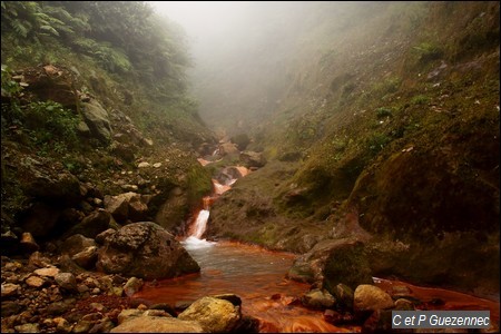 Près de la source du Grand Carbet