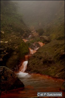 Près de la source du Grand Carbet