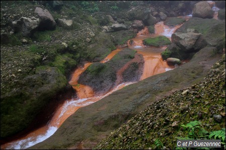 Près de la source du Grand Carbet