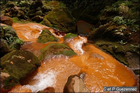 Vers la source du Grand Carbet