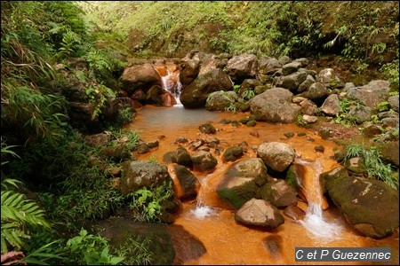 Vers la source du Grand Carbet