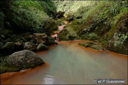 Vers la source du Grand Carbet