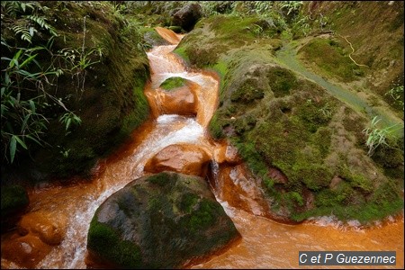 Vers la source du Grand Carbet