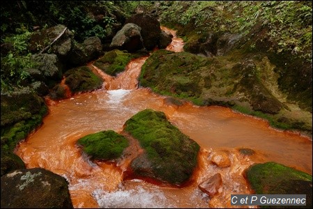 Vers la source du Grand Carbet