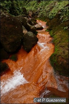 Vers la source du Grand Carbet