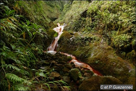 Vers la source du Grand Carbet