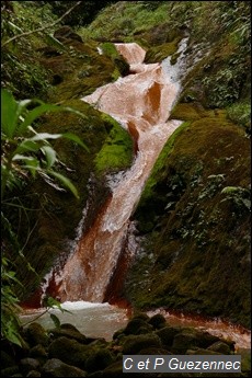 Vers la source du Grand Carbet