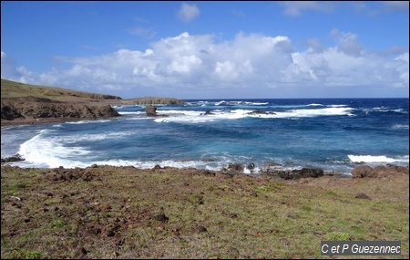 Vue de l'Anse Galets depuis la Pointe Mancenillier