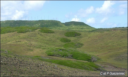 Vue sur la Grande Savane, la Montagne et les Eoliennes