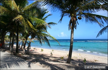 Plage de l'anse Petite Rivière