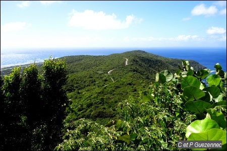 Chemin du Latanier sur la crête de la montagne