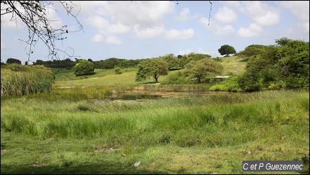 La Mare de Bois Jolan