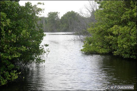 Etang de l'Anse Gros Sable 