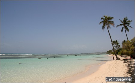 Lagon de Bois Jolan, Sainte Anne en Guadeloupe