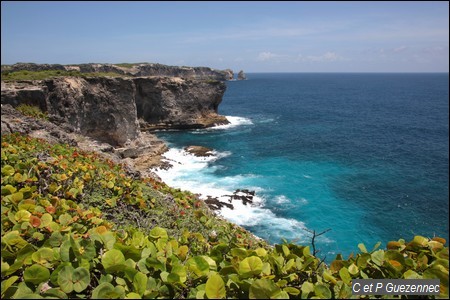 Falaises de la Pointe du Lagon et au loin le Piton