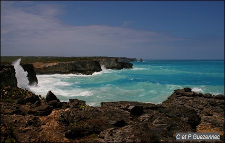 Falaises de la Pointe du Lagon et au loin le Piton