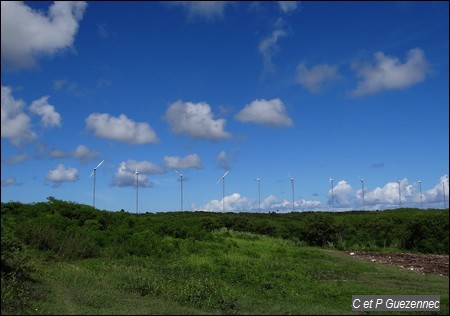 Ferme Eolienne