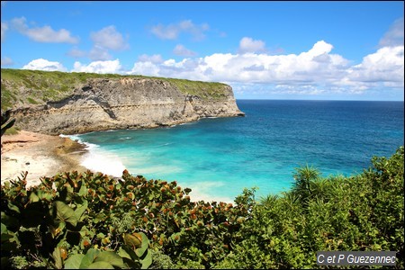 Anse à la Barque