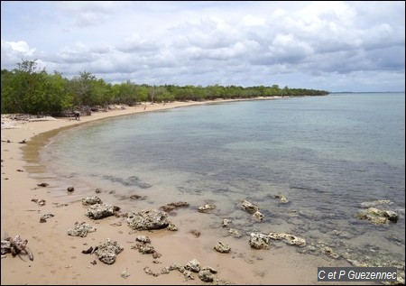 Plage et Pointe Gris-Gris