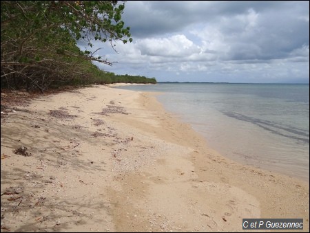 Plage de l'Anse du Gris-Gris