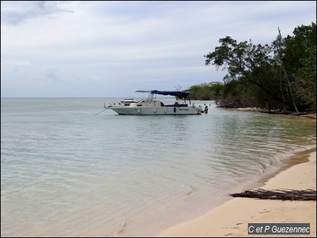 Anse du Gris-Gris - Zone de mouillage des bateaux