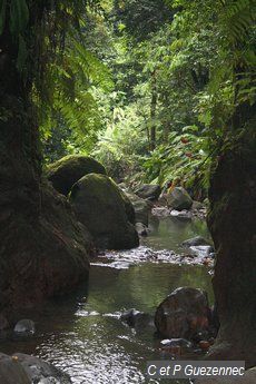 Après la petite cascade