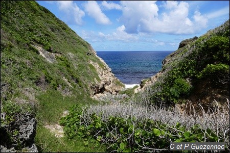 Anse Piton