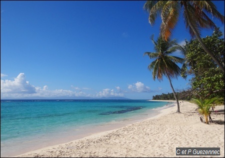 Plage de La Feuillère