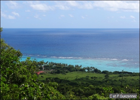 Point de vue sur le littoral le long de la Plage de Feuillère