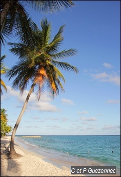 La plage de La Feuillère et son lagon