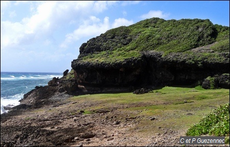 Les Galeries Capesterre de Marie Galante