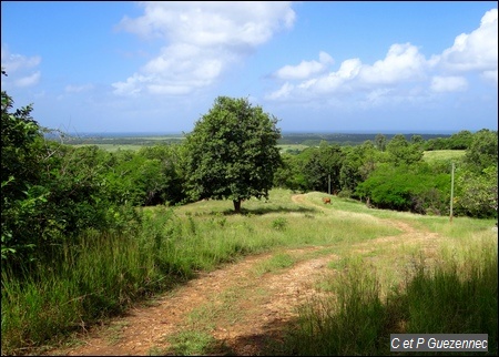 Point de vue sur le sud de la Basse Terre