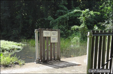 Pont sur la rivière Saint Louis