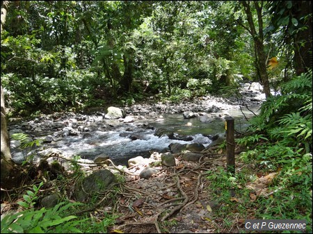 Première traversée sur la rivière Moreau