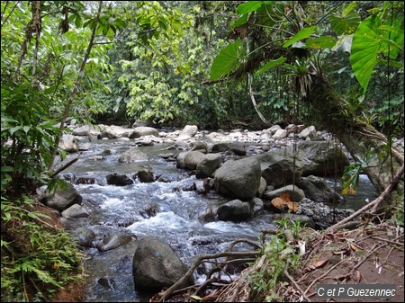 Deuxième traversée sur la rivière Moreau