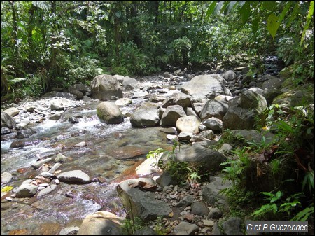 Troisième traversée Ravine Mangle