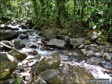 Quatrième traversée Ravine Mangle