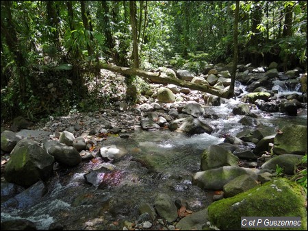 Cinquième traversée Ravine Mangle