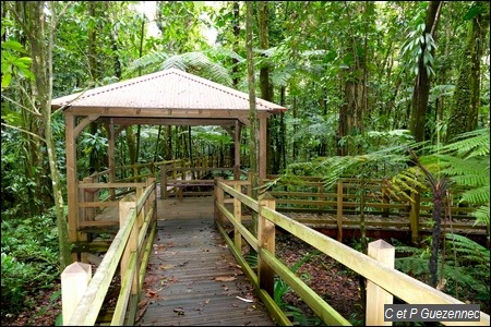 Premier Carbet sur la passerelle