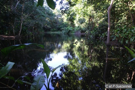 Une première vue de l'Etang