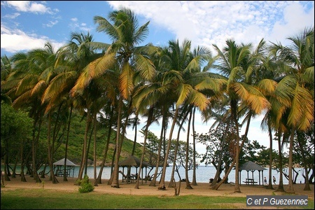 Plage de la Baie de Pompierre