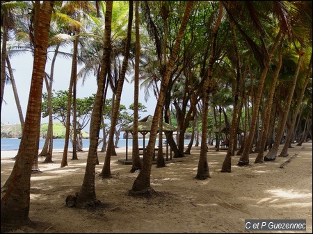 Plage de la Baie de Pompierre