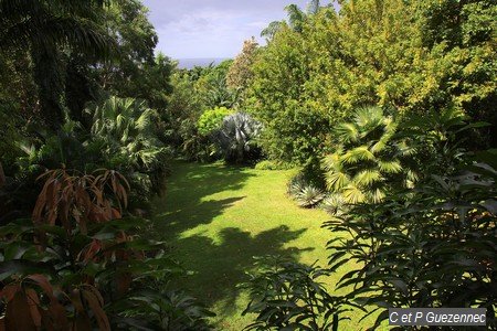 Vue sur le Jardin de Beauvallon depuis la terrasse 