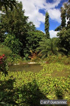 Le grand bassin du Jardin de Beauvallon