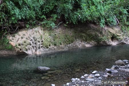 zone de baignade sur la rivière