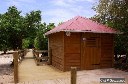 Toilettes pour Handicapés