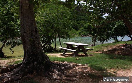 Table de pique nique