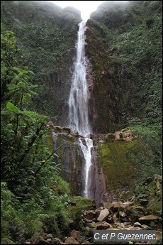 La première Chute du Carbet