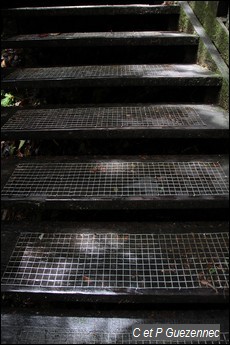 Marches d'escalier avec grillage anti-dérapant