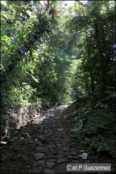 Sentier du Pas du Roy